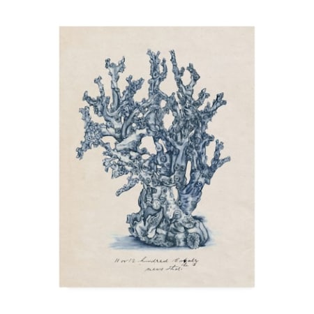Melissa Wang 'Sea Coral Study Iv' Canvas Art,35x47